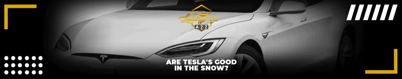 ¿Son buenos los Tesla en la nieve?