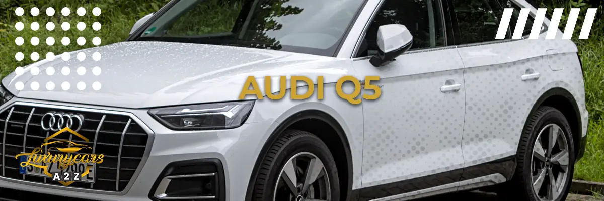 El mejor año para el Audi Q5