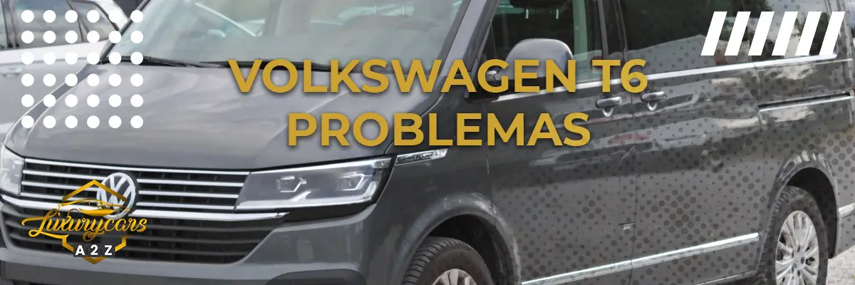 Volkswagen T6 problemas